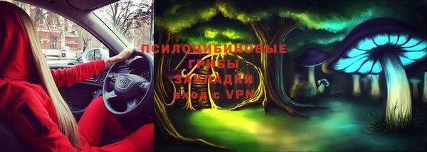 гашик Нефтегорск