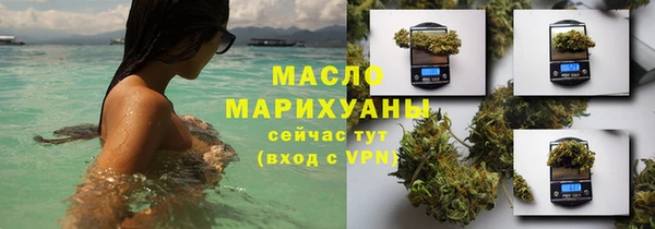 сатива Билибино