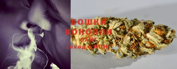стаф Нея