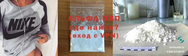стаф Нея