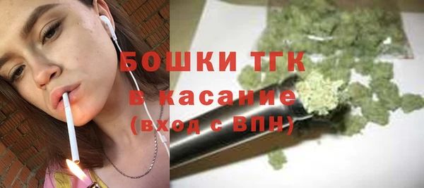 mix Богородицк