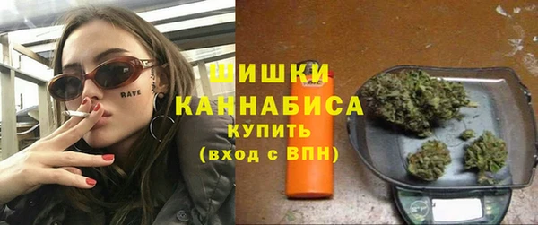 стаф Нея