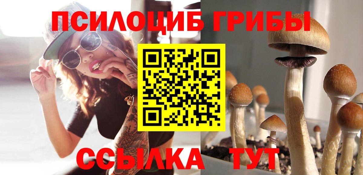 Галлюциногенные грибы Magic Shrooms Рославль