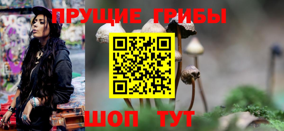 Псилоцибиновые грибы мухоморы  Вход с VPN  Рославль 