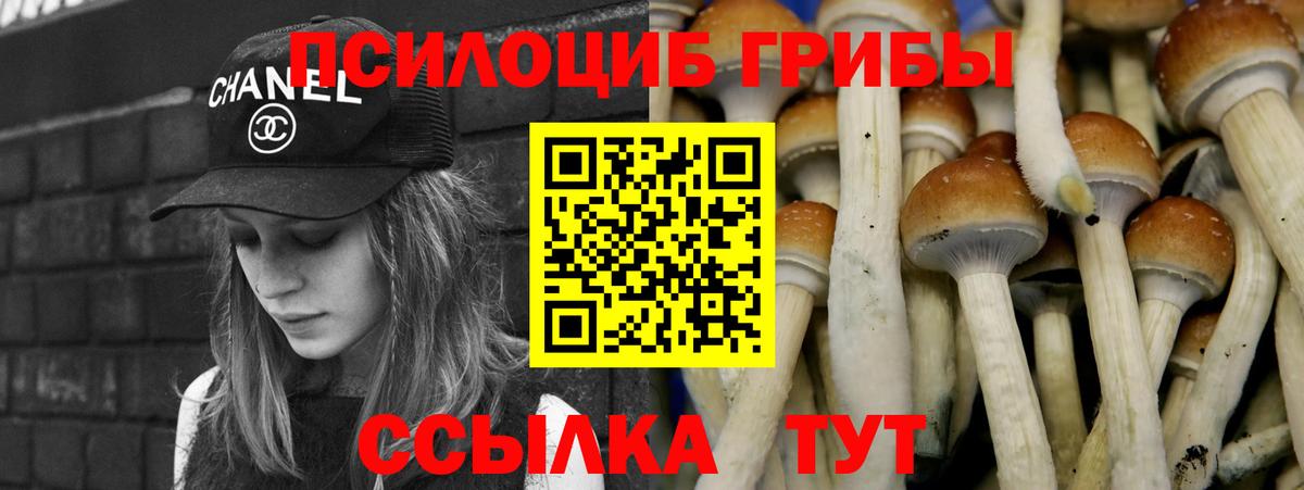 Псилоцибиновые грибы мухоморы Рославль
