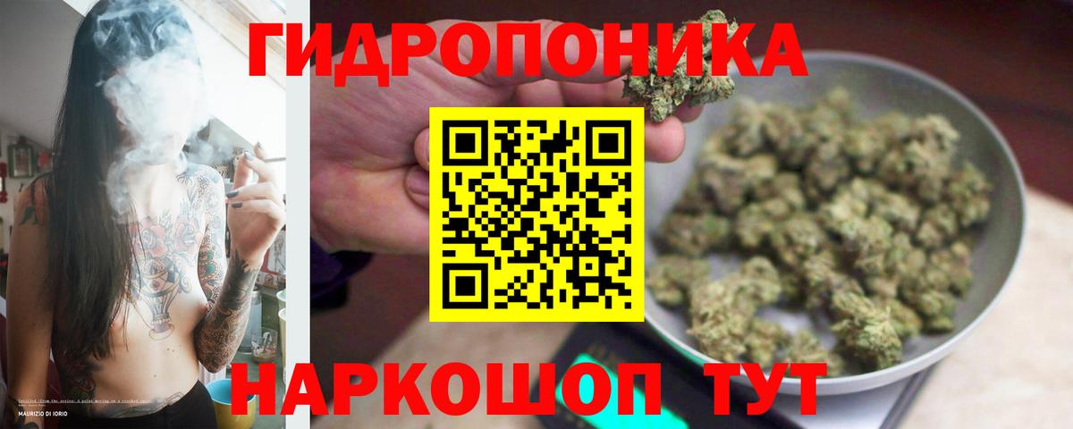 Каннабис сатива Рославль